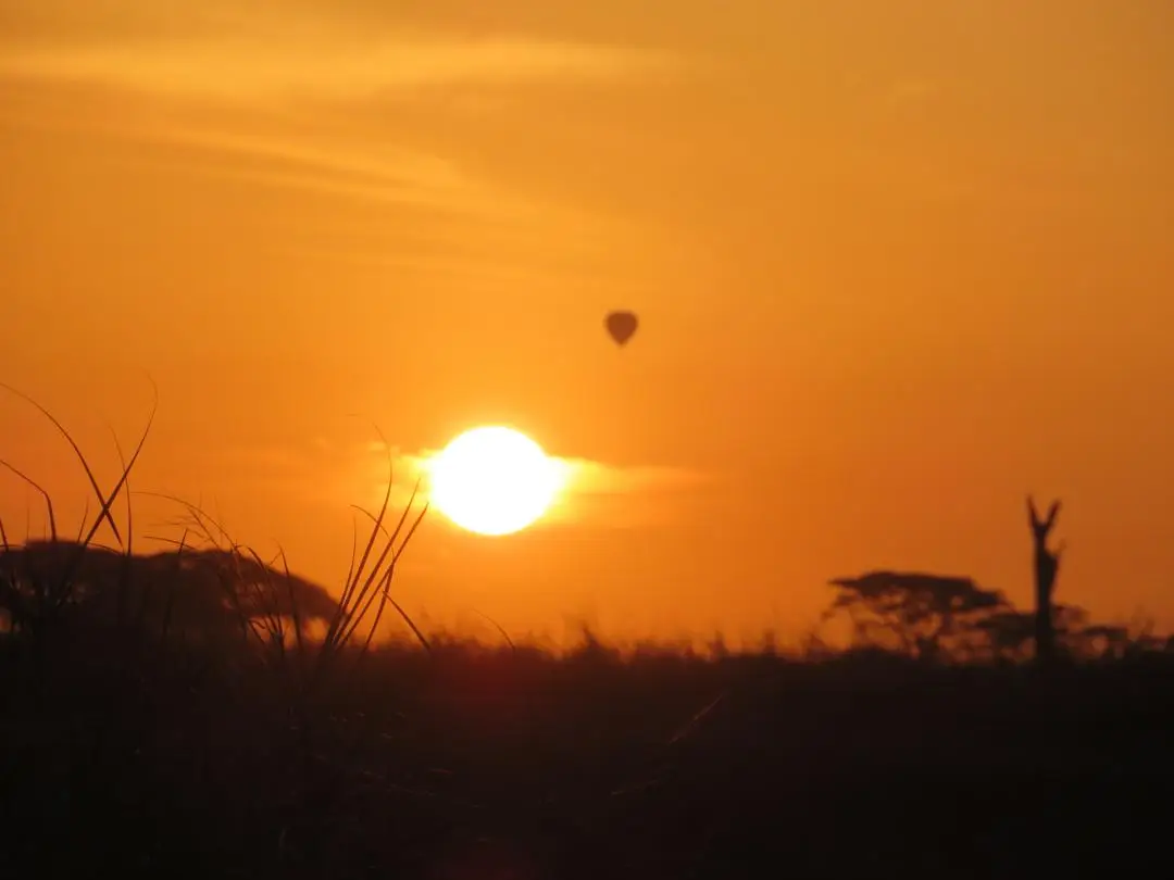 Private luxury safari experience in Tanzania